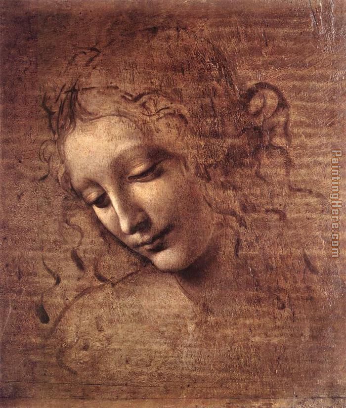 Leonardo da Vinci The Lady of the Dishevelled Hair
